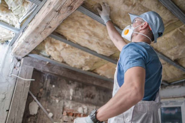 Best Geographic-Specific Insulation Services in Seguin, TX